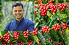 MP Brijesh Chowta seeks Union Minister’s intervention to cultivate coffee in the district